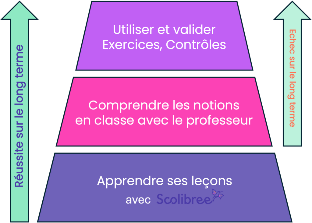 Le cycle pédagogique